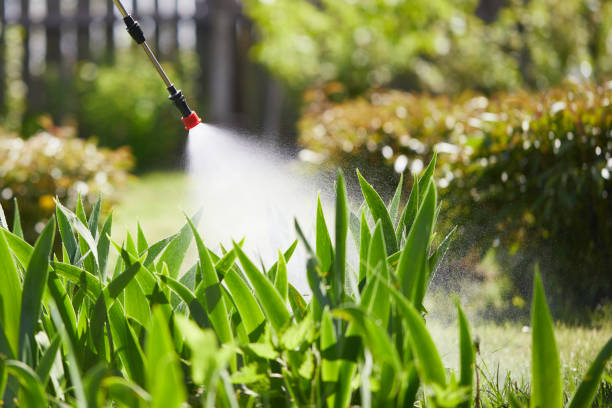 24/7 Emergency Mosquito Control experts in Kirby, TX