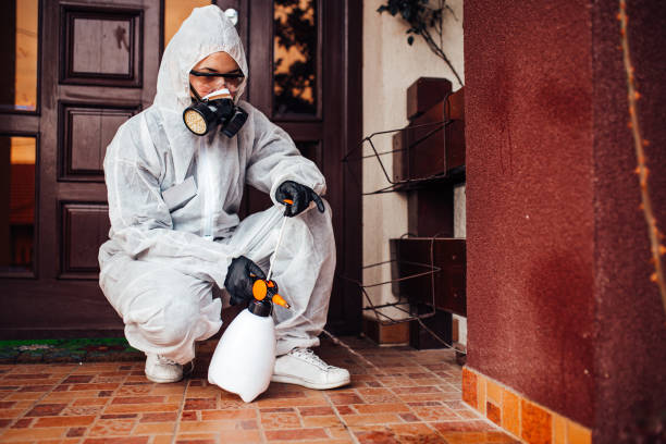 Reliable Mosquito Control contractor in Kirby, TX by Show Me Pest Control